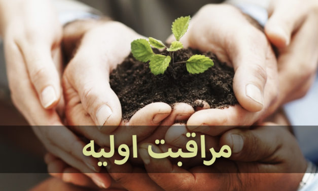 Hands nurturing a small plant with soil, symbolizing early plant care.