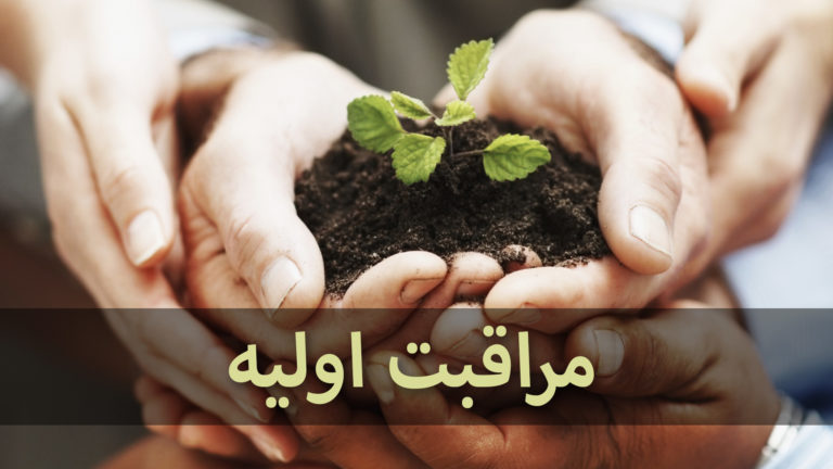 Hands nurturing a small plant with soil, symbolizing early plant care.