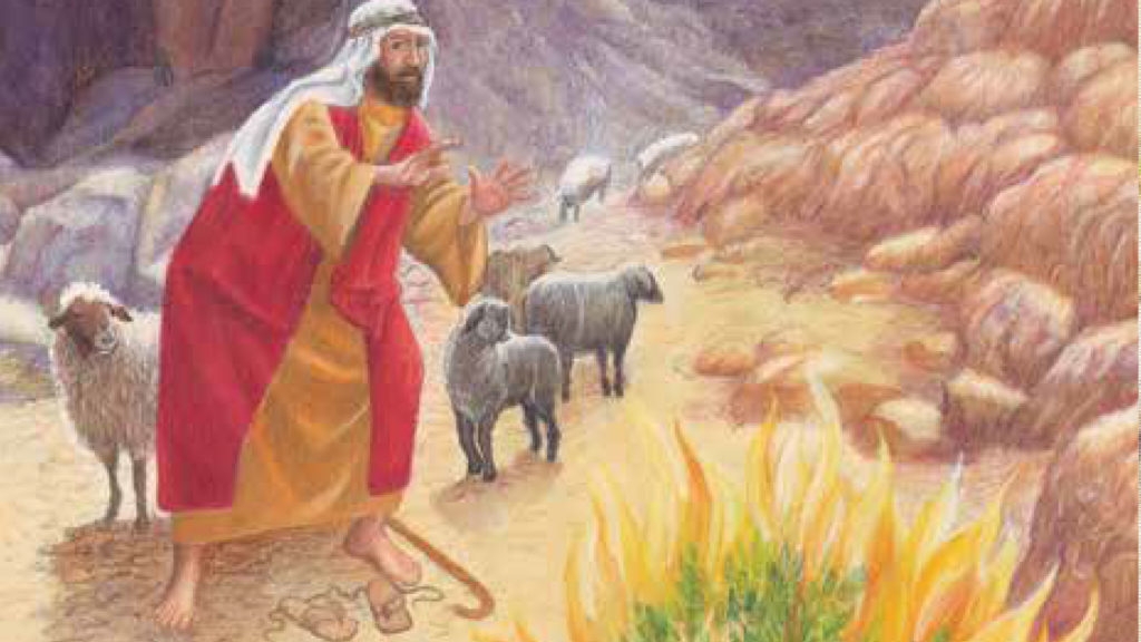 A shepherd tending his sheep in a rocky landscape.
