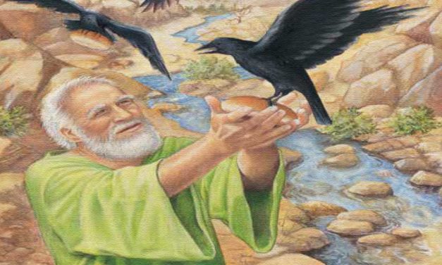 A person in green holding a black bird in a colorful, artistic setting.