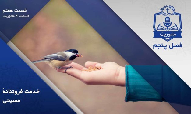 A bird eating seeds from a person's hand outdoors.