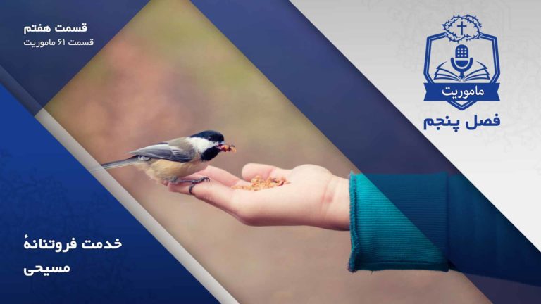 A bird eating seeds from a person's hand outdoors.