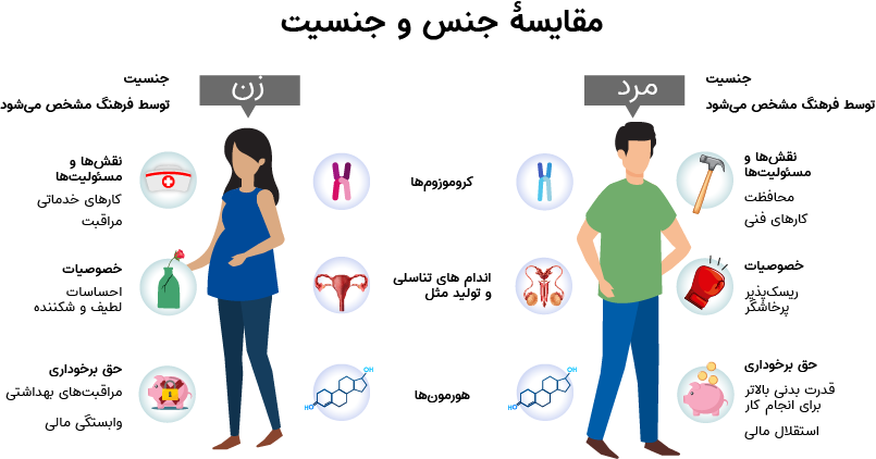 اینفوگرافیک مقایسه جنسیت زن و مرد با ویژگی‌های ژنتیکی و فیزیولوژیکی.