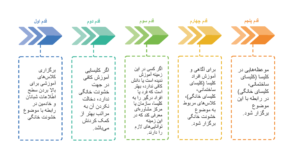 مراحل نمو النبات من البذرة إلى النبتة.
