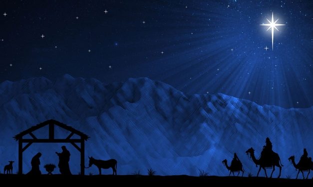 A nighttime desert scene with a starry sky and silhouettes of a camel and a well.