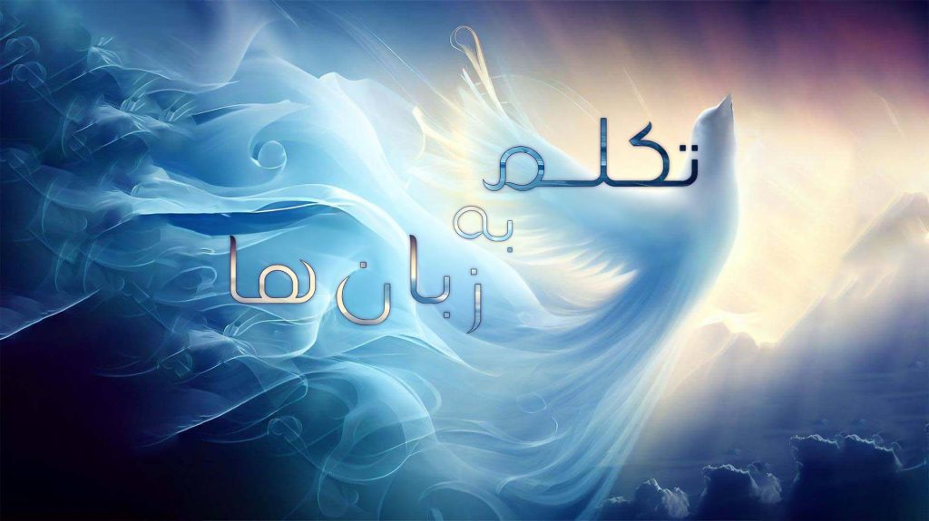 تصميم فني يحمل عبارة 'تكلم بهدوء تملك الأرض' بخط عربي أنيق.